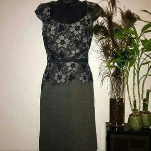 Ann Taylor Winter Dress